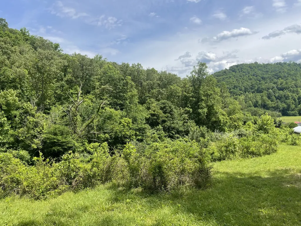 1153 Key 718 Flat Lick KY 40935