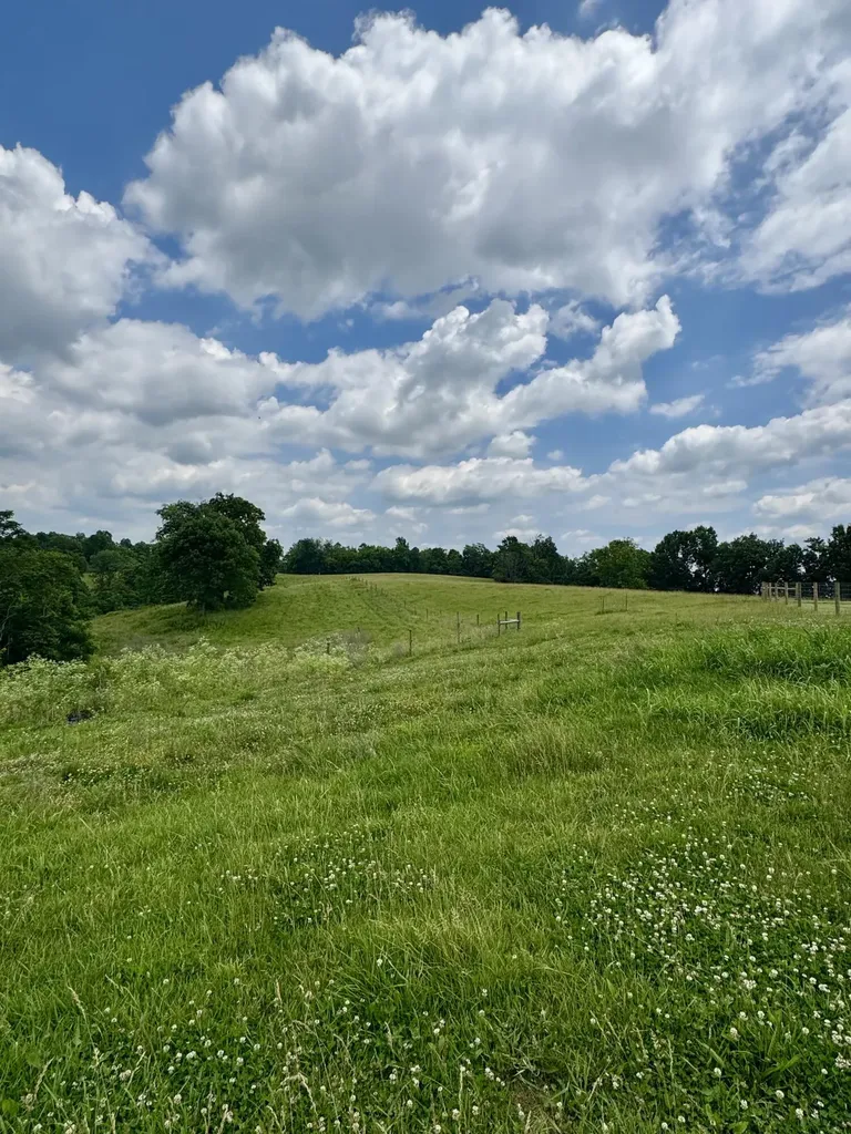 2475 Gravel Road Carlisle KY 40311