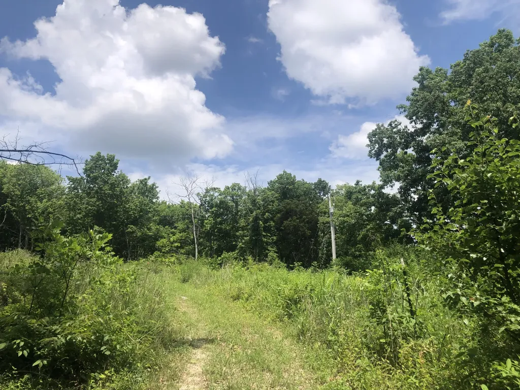 2.2 Acres Tract 1 Lock Road Lawrenceburg KY 40342