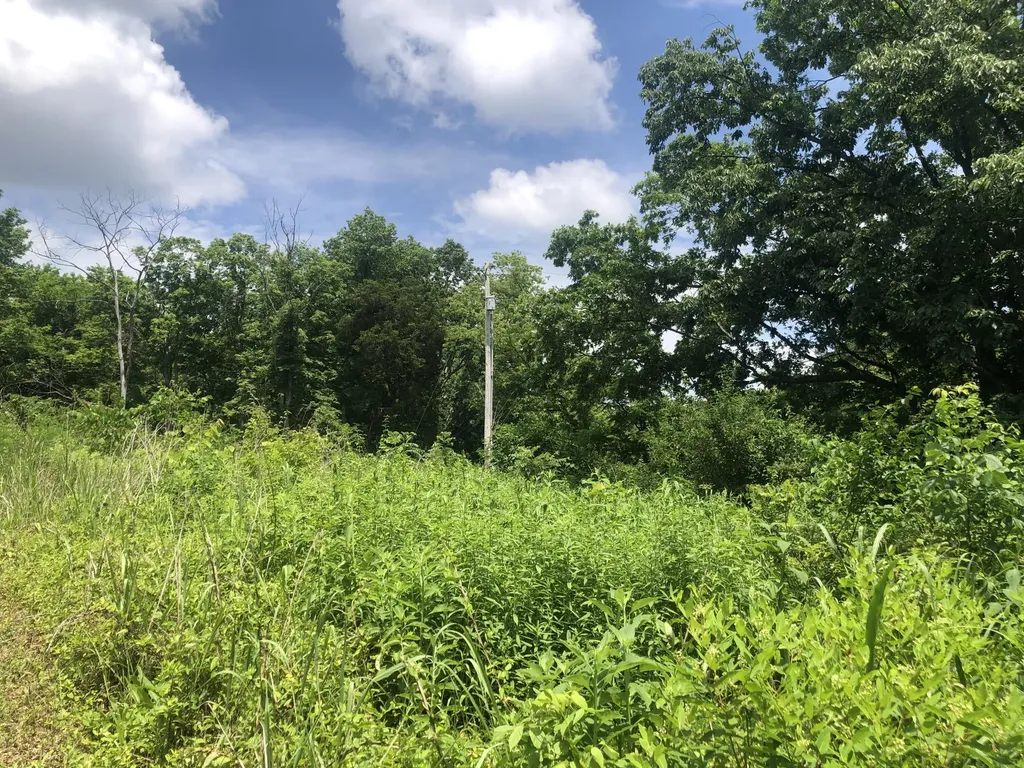 2.2 Acres Tract 1 Lock Road Lawrenceburg KY 40342