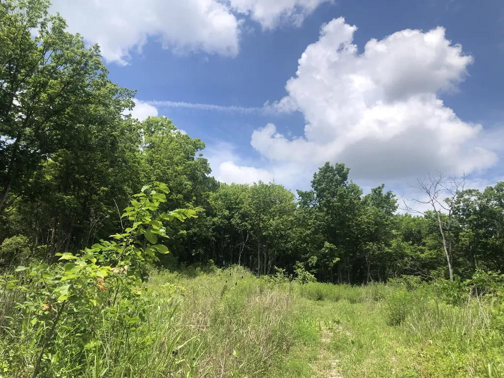 2.2 Acres Tract 1 Lock Road Lawrenceburg KY 40342