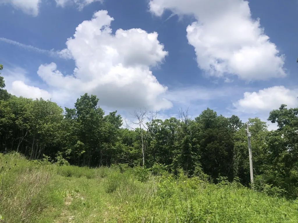 2.2 Acres Tract 1 Lock Road Lawrenceburg KY 40342