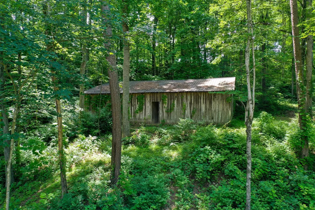 51 Tamarack Trace London KY 40741