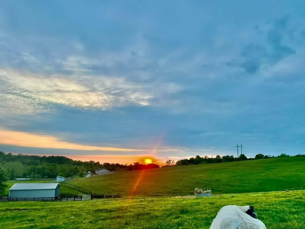 154-B Double Culvert Road Georgetown KY 40324