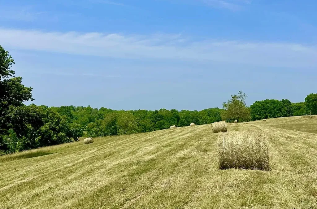 154-B Double Culvert Road Georgetown KY 40324