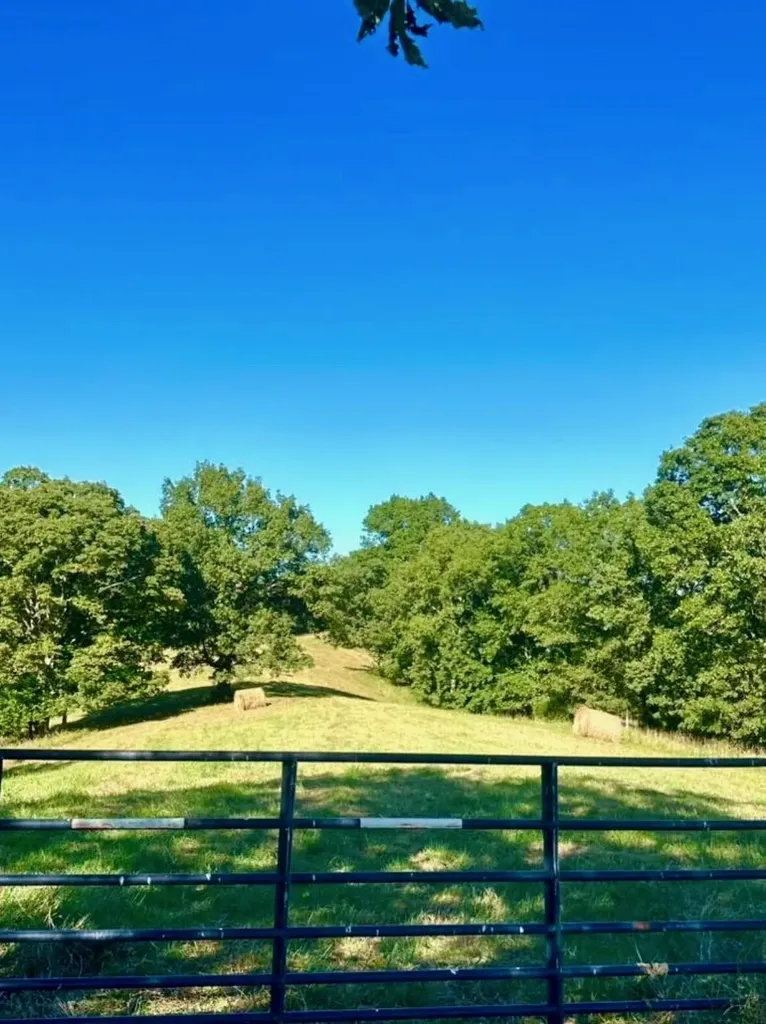 154-B Double Culvert Road Georgetown KY 40324