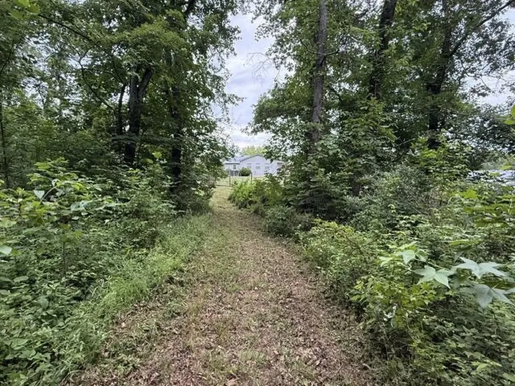 65 Outlook Drive Owingsville KY 40360