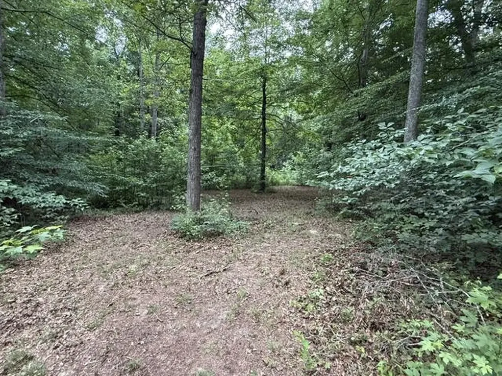 65 Outlook Drive Owingsville KY 40360