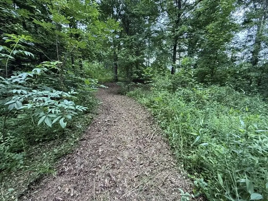 65 Outlook Drive Owingsville KY 40360