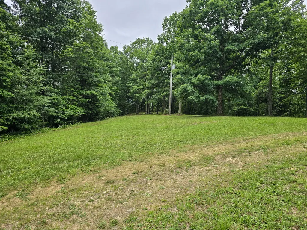 1803 Patsy Riffe Road Middleburg KY 42541