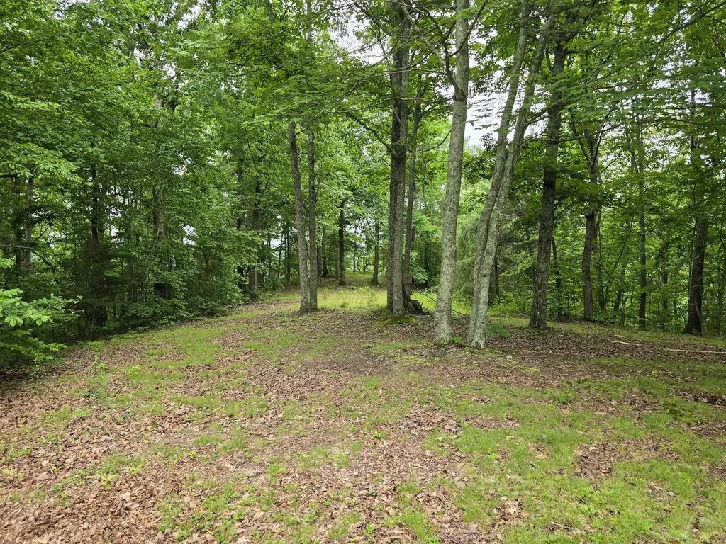 1803 Patsy Riffe Road Middleburg KY 42541