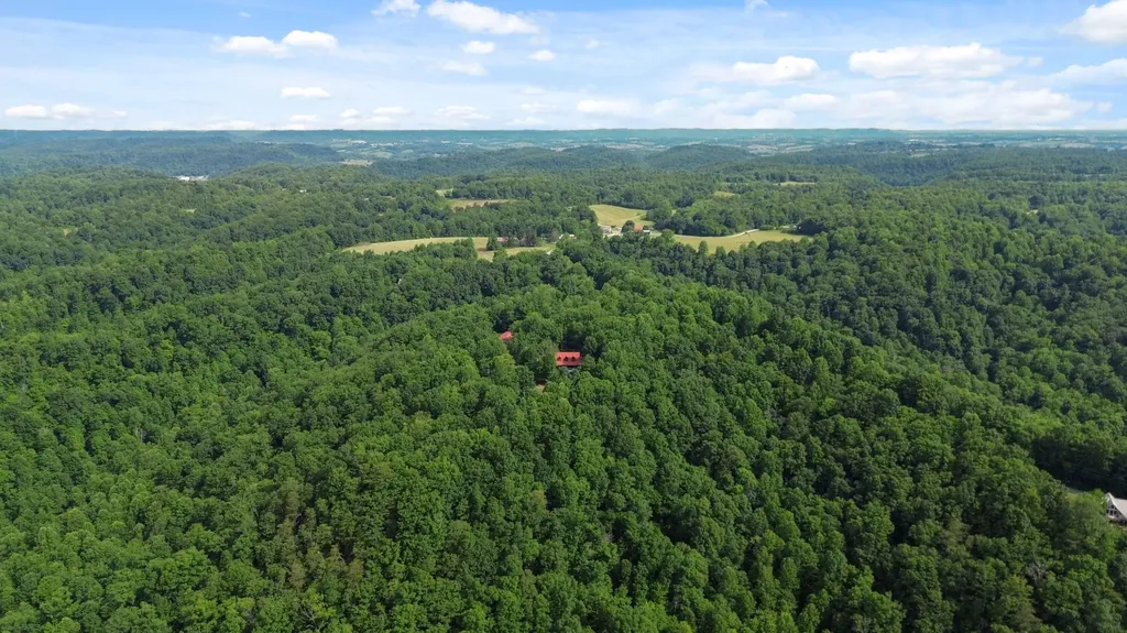 1803 Patsy Riffe Road Middleburg KY 42541