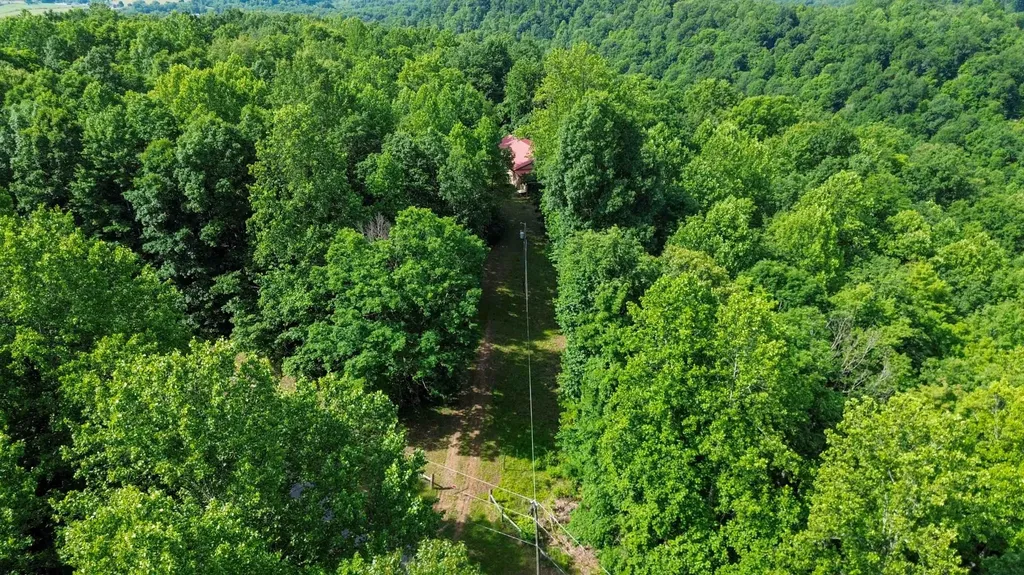 1803 Patsy Riffe Road Middleburg KY 42541