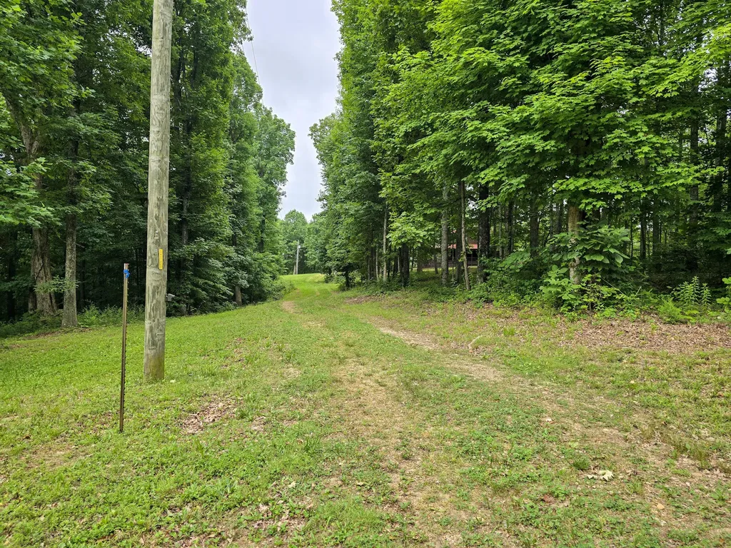 1803 Patsy Riffe Road Middleburg KY 42541