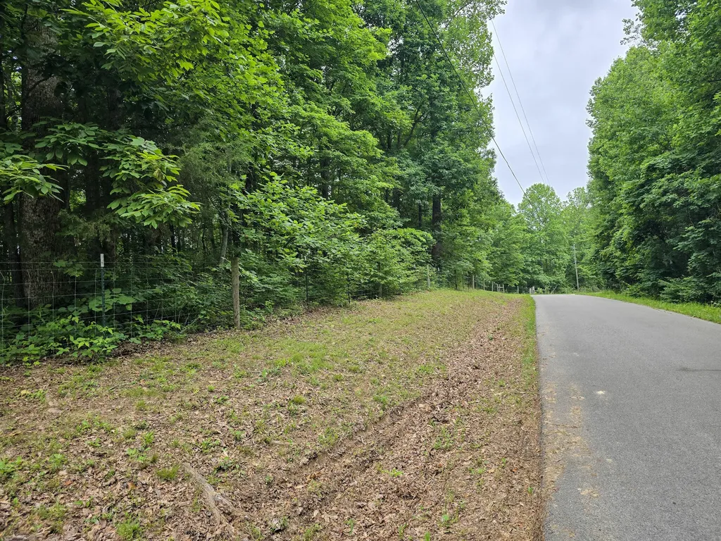 1803 Patsy Riffe Road Middleburg KY 42541