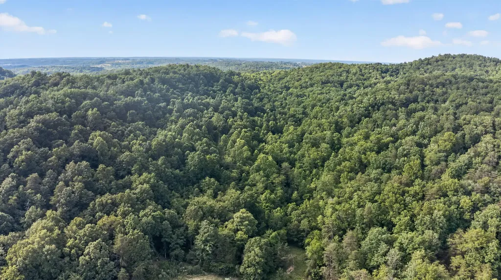 2953 Harmons Lick Road Crab Orchard KY 40419