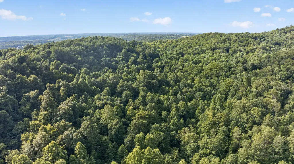2953 Harmons Lick Road Crab Orchard KY 40419