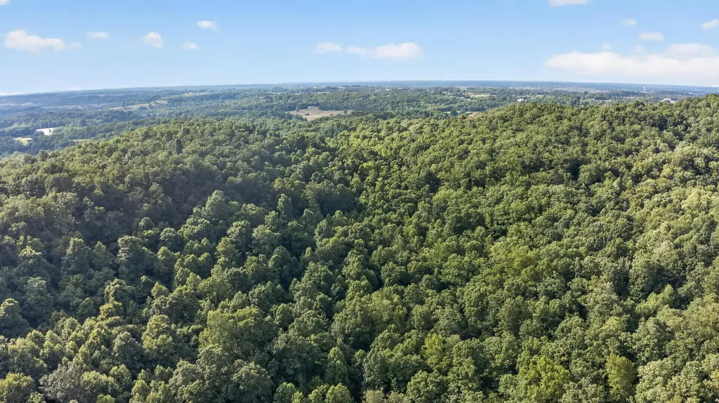 2953 Harmons Lick Road Crab Orchard KY 40419