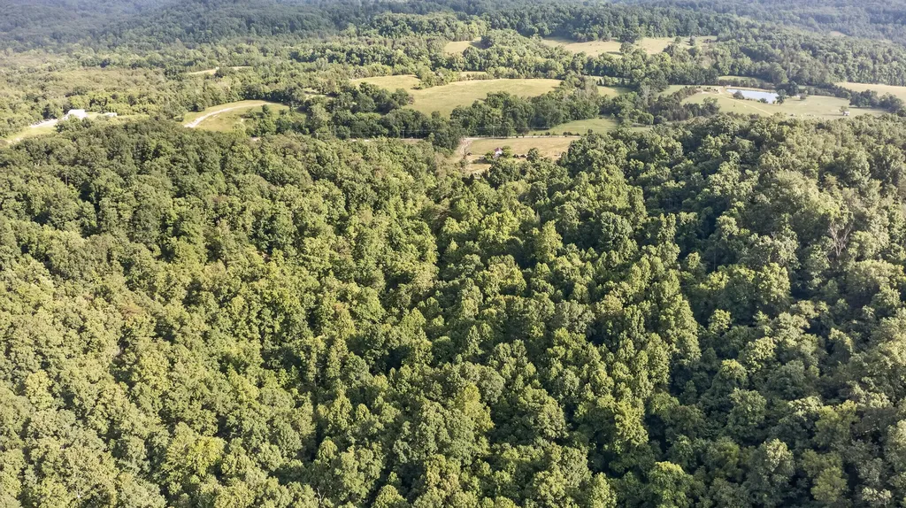 2953 Harmons Lick Road Crab Orchard KY 40419