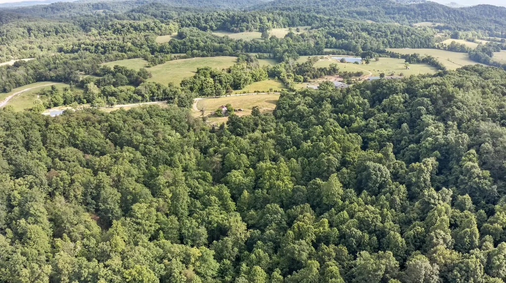 2953 Harmons Lick Road Crab Orchard KY 40419