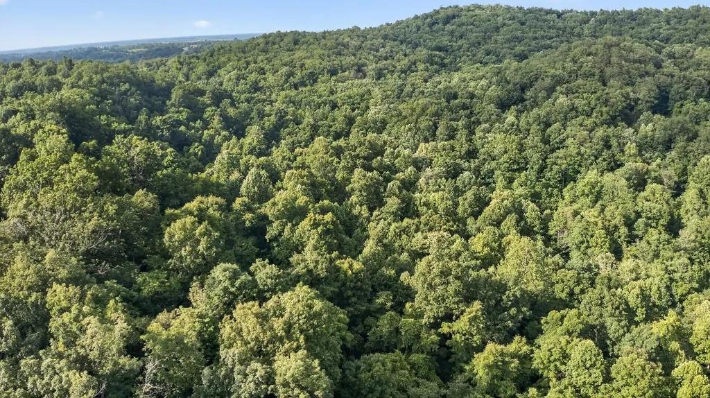 2953 Harmons Lick Road Crab Orchard KY 40419