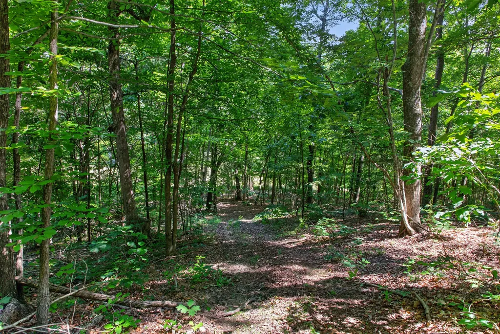 2953 Harmons Lick Road Crab Orchard KY 40419