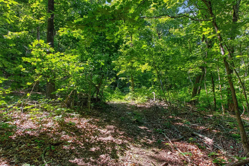 2953 Harmons Lick Road Crab Orchard KY 40419