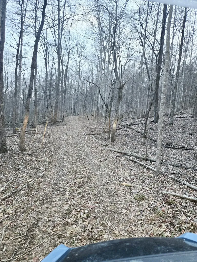2953 Harmons Lick Road Crab Orchard KY 40419
