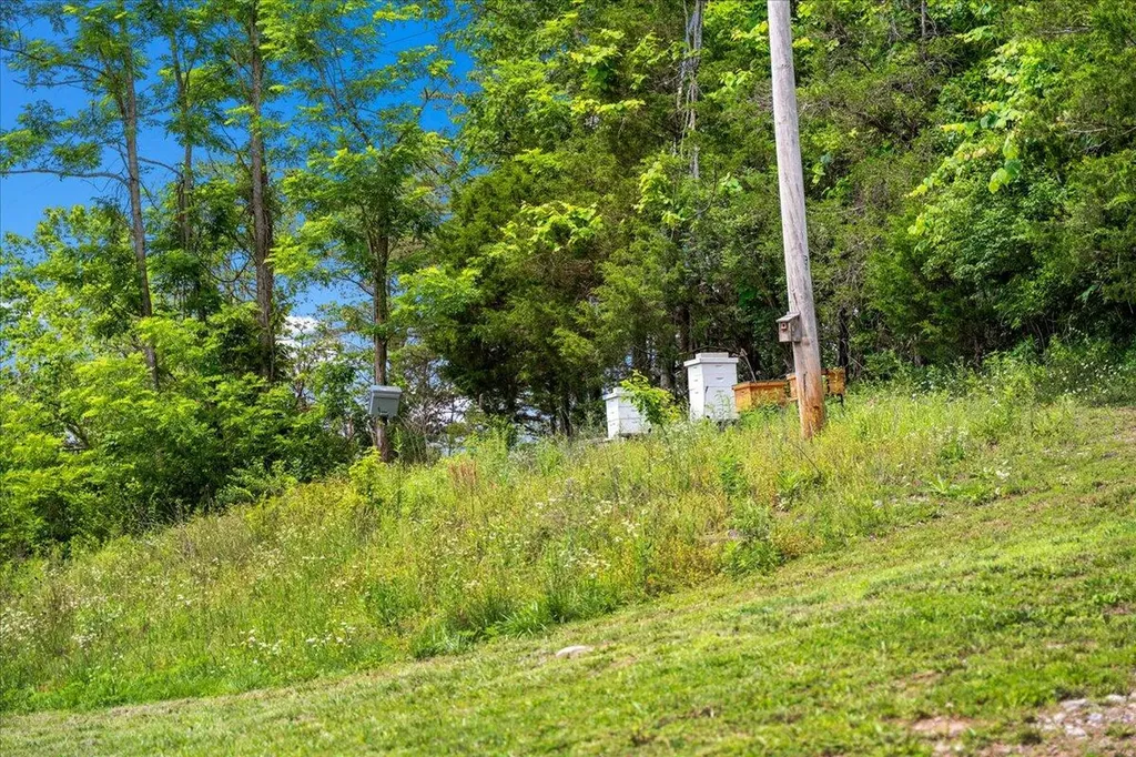 200 Old Log Lick Road Winchester KY 40391