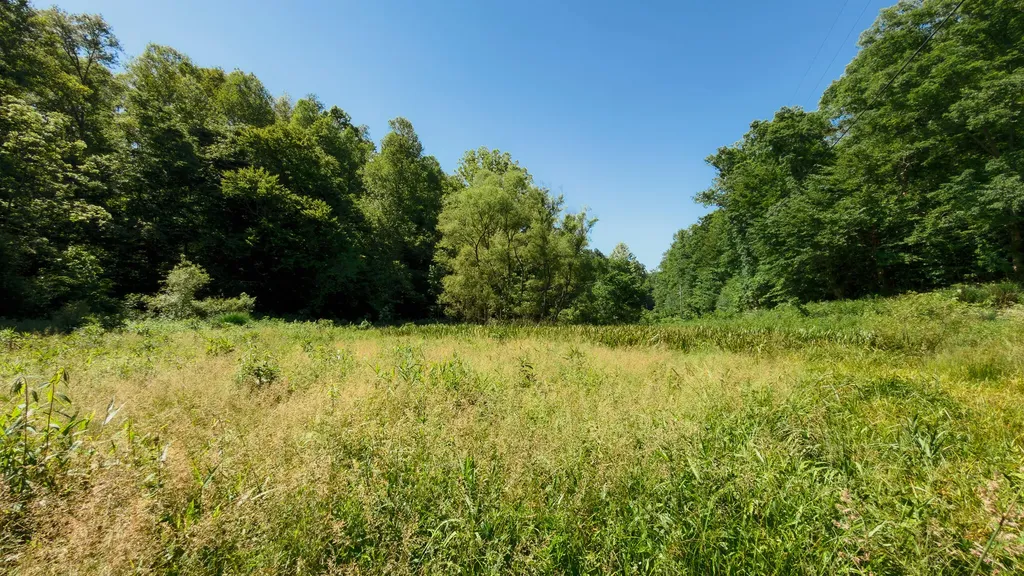 820 Shooting Fork Road Campton KY 41301