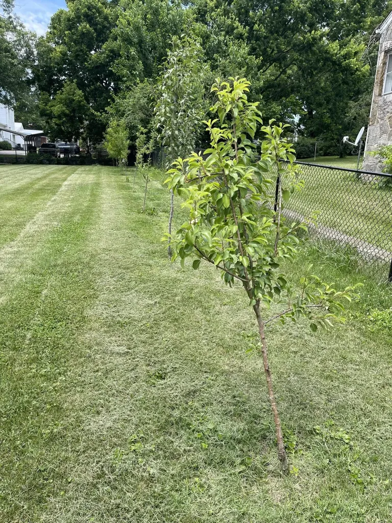 302 Danville Street Lancaster KY 40444