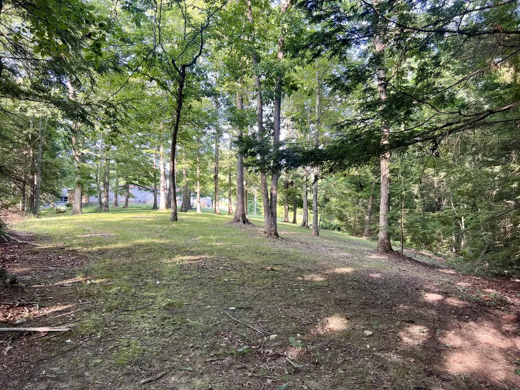 81 Hemlock Lane Morehead KY 40351