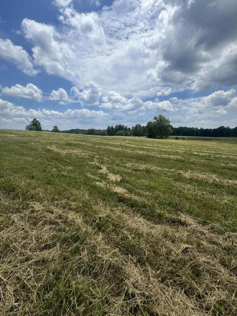 002 Upper Dry Fork Road Mckee KY 40447