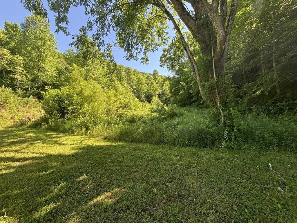 7173 7173 State Highway 223 Flat Lick KY 40935