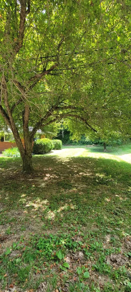 1217 Knapp Avenue Morehead KY 40351