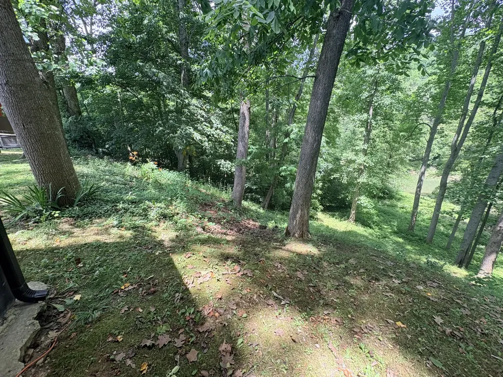 139 Kilbreth Lane Garrison KY 41141