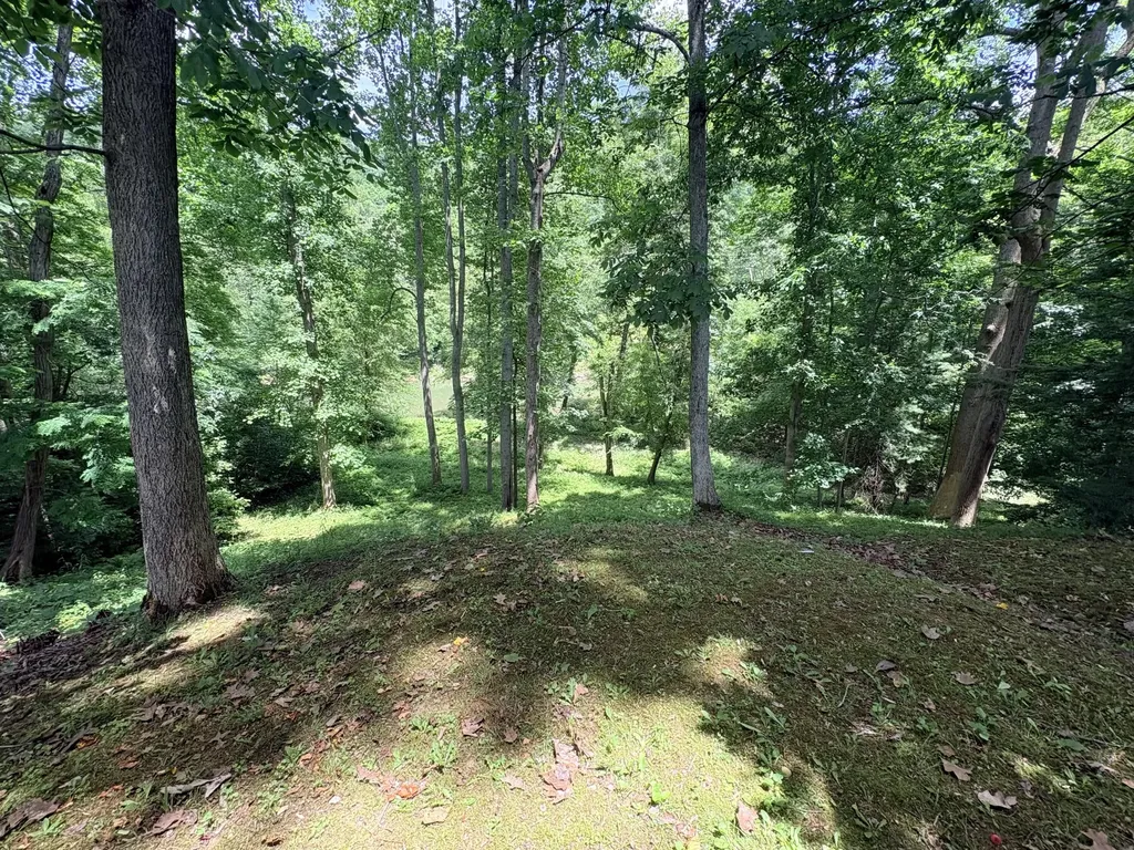 139 Kilbreth Lane Garrison KY 41141