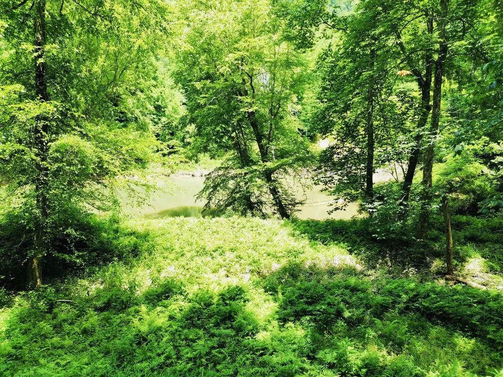 139 Kilbreth Lane Garrison KY 41141