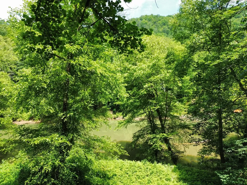 139 Kilbreth Lane Garrison KY 41141