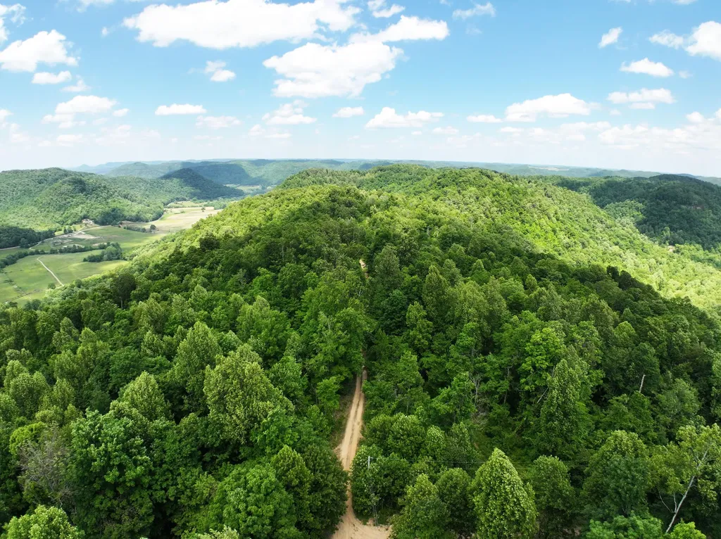 Lot 1-11 0 Happy Top Road Irvine KY 40336