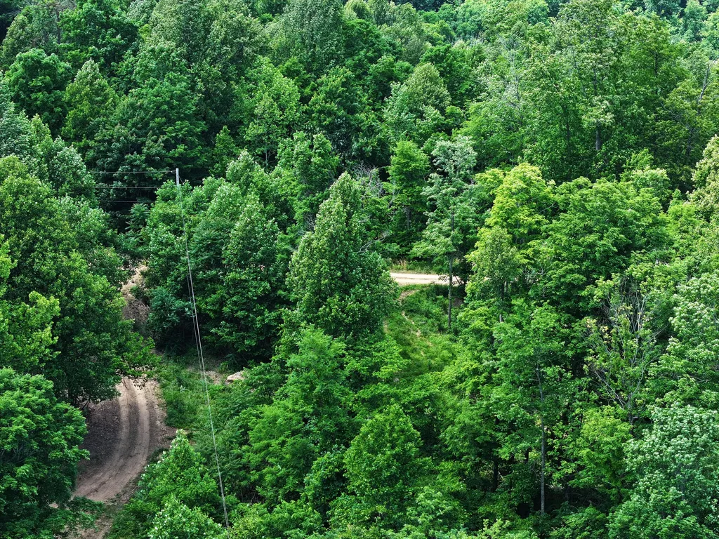 Lot 1-11 0 Happy Top Road Irvine KY 40336