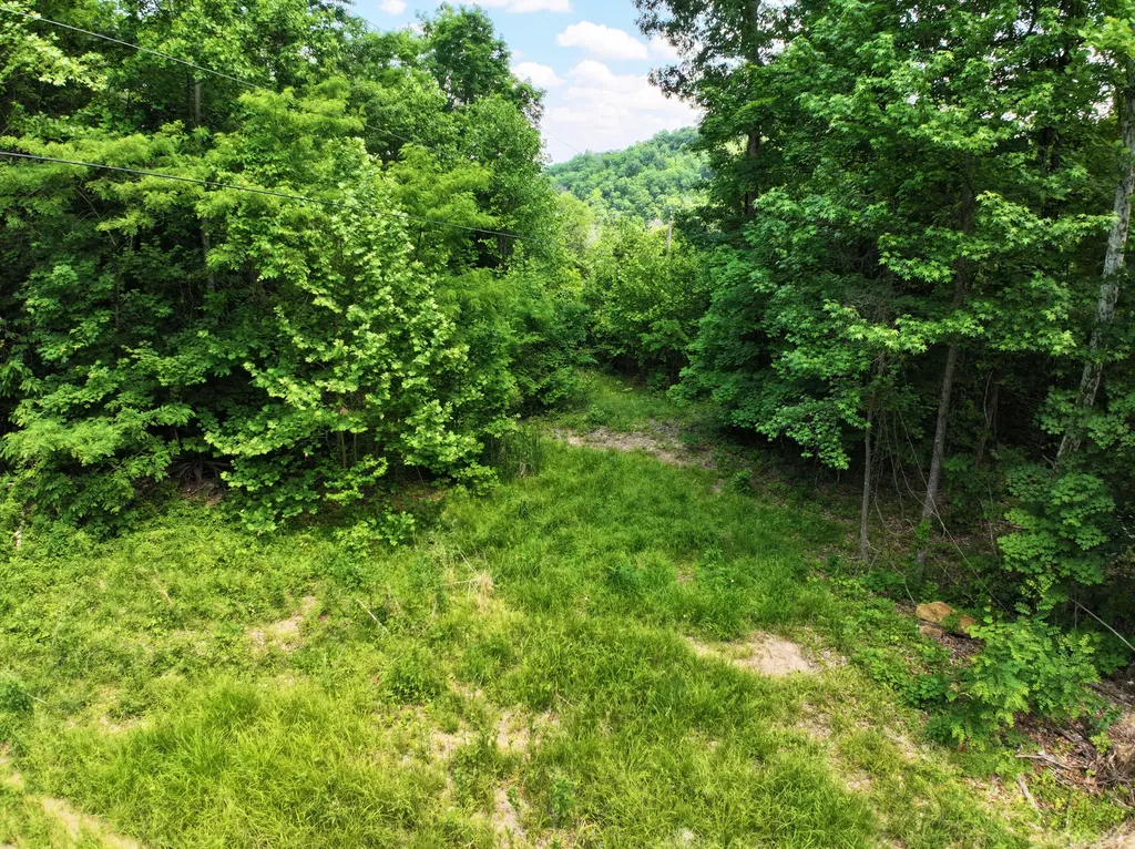 Lot 1-11 0 Happy Top Road Irvine KY 40336