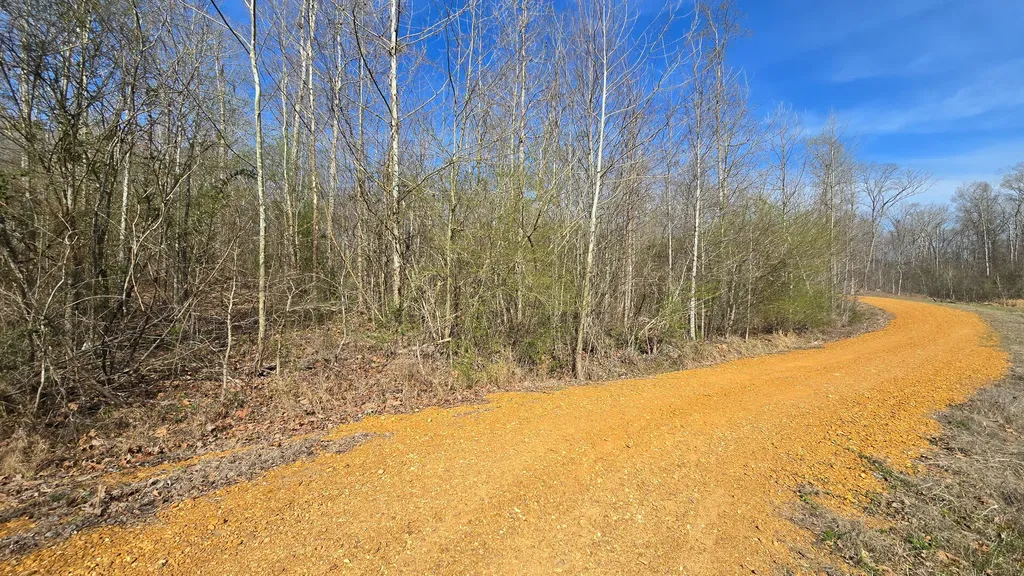 000 Mcclain Drive New Concord KY 42076