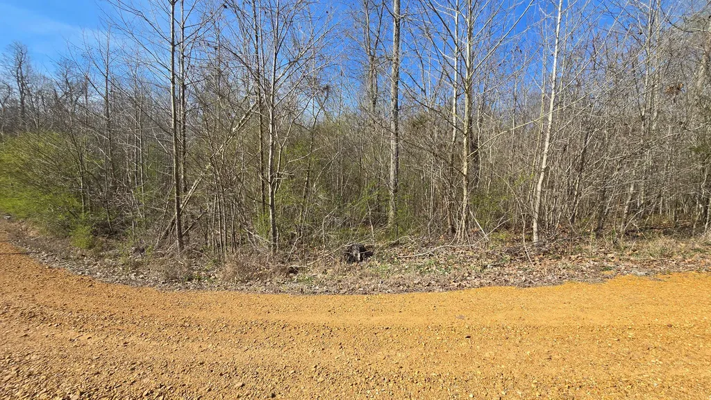 000 Mcclain Drive New Concord KY 42076
