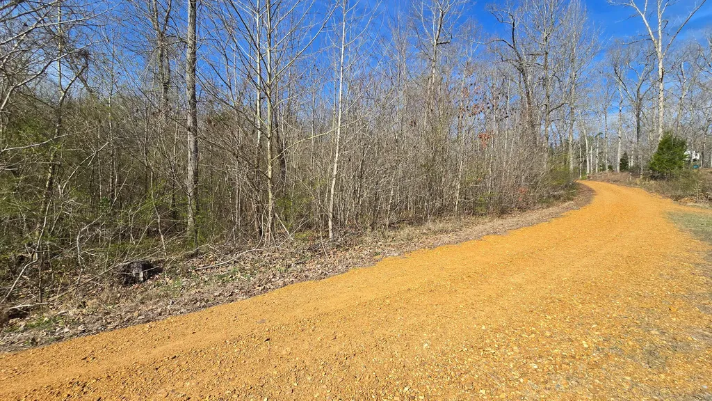 000 Mcclain Drive New Concord KY 42076