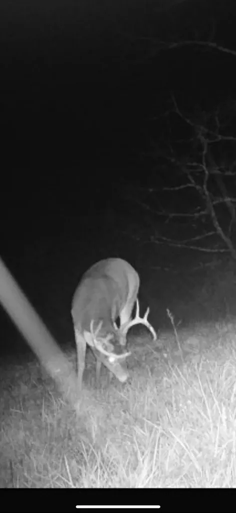 359 Ky Highway 1284 Berry KY 41003
