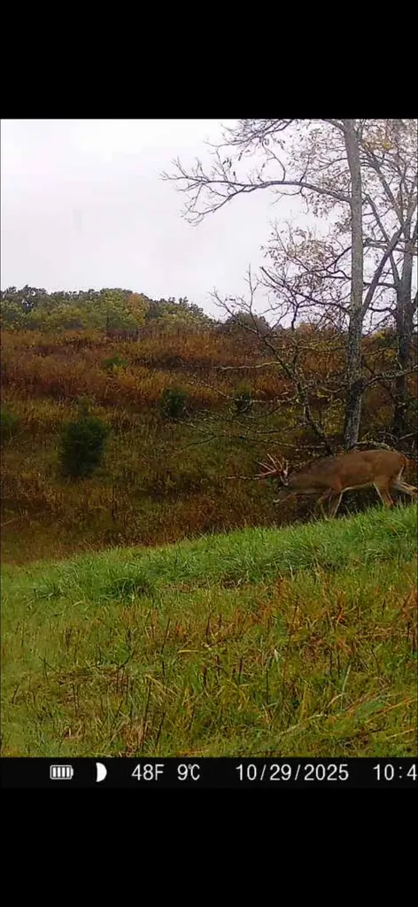 359 Ky Highway 1284 Berry KY 41003