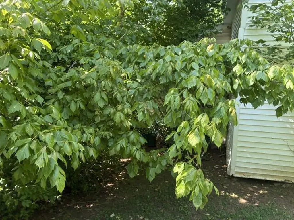 399 Campground Road Bonnieville KY 42713