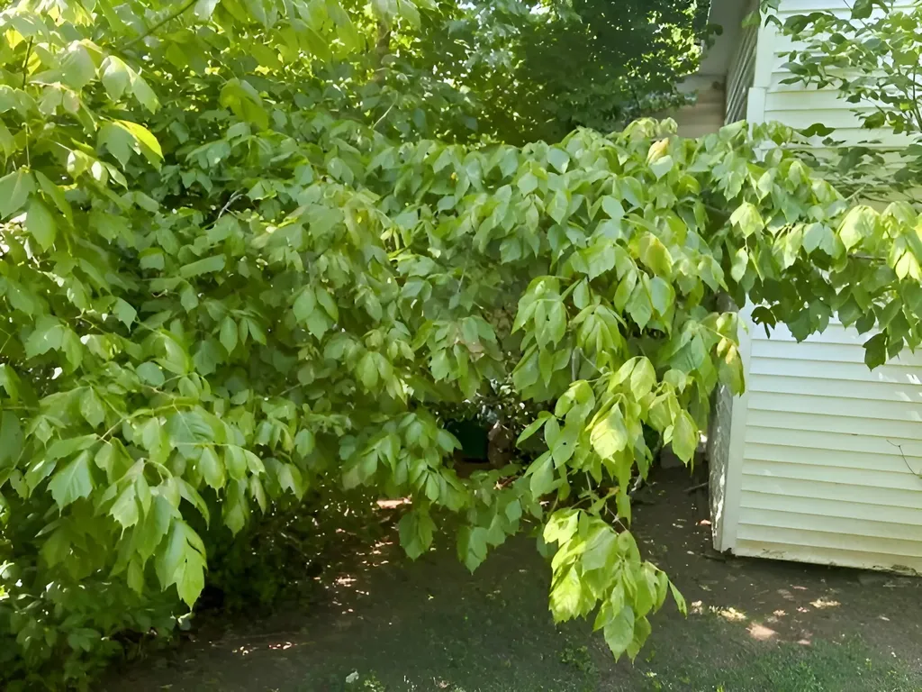 399 Campground Road Bonnieville KY 42713