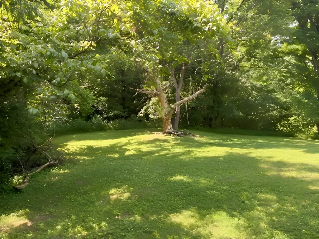 399 Campground Road Bonnieville KY 42713